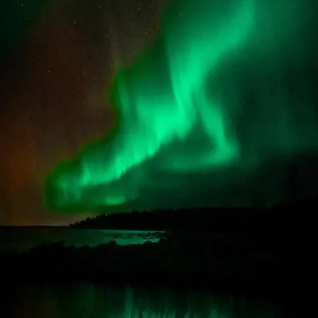 Pauha - Auroras And Sauna At The Seaside Cabin, Near Rovaniemi בקתה *
