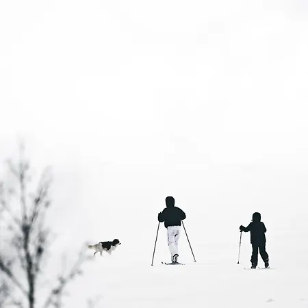 シャレー Pauha - Aurora Nights At The Seaside Cabin, 2 Hr From Rovaniemi Ii