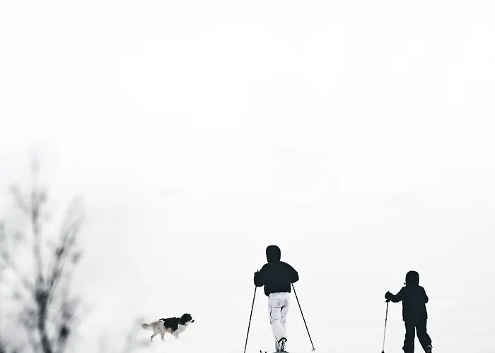 Шале Pauha - Aurora Nights At The Seaside Cabin, 2 Hr From Rovaniemi Ий